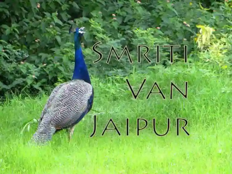 Smriti Van jaipur