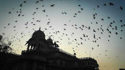 Albert Hall Museum Jaipur
